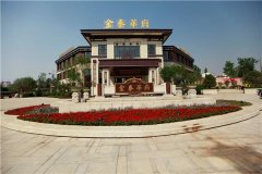 国内案例